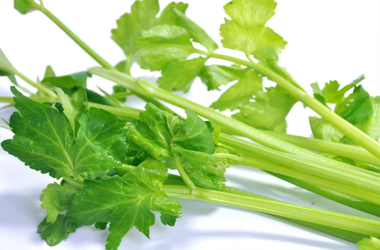 蔬菜是個寶，這些部位也更好！