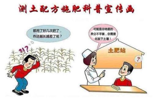 1596519550822308.jpg 文章16.jpg