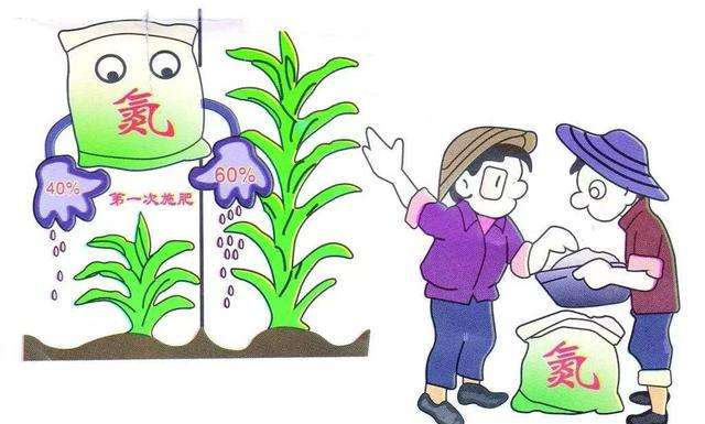 土壤檢測設備儀器 土壤檢測設備儀器