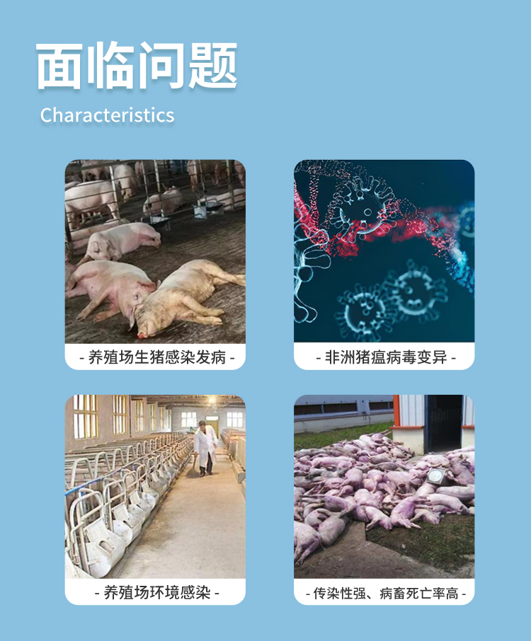 非洲豬瘟檢測儀 非洲豬瘟檢測儀