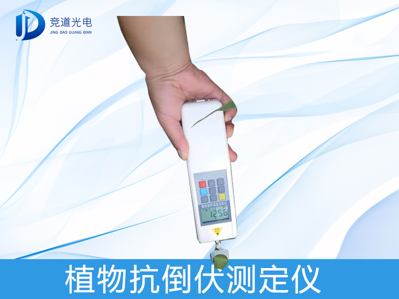 植物抗倒伏 植物抗倒伏