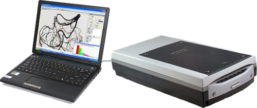 植物根系分析系統 植物根系分析系統
